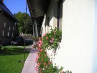 Privát Gustáv Halas